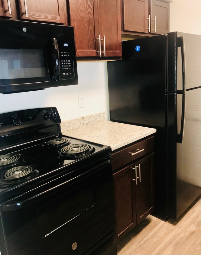 Building Photo - Reflections at Virginia Beach