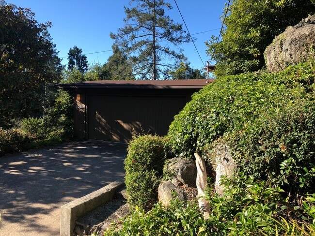 Building Photo - Lovely 3/2 home in the hills of El Cerrito with breathtaking views of the bay!
