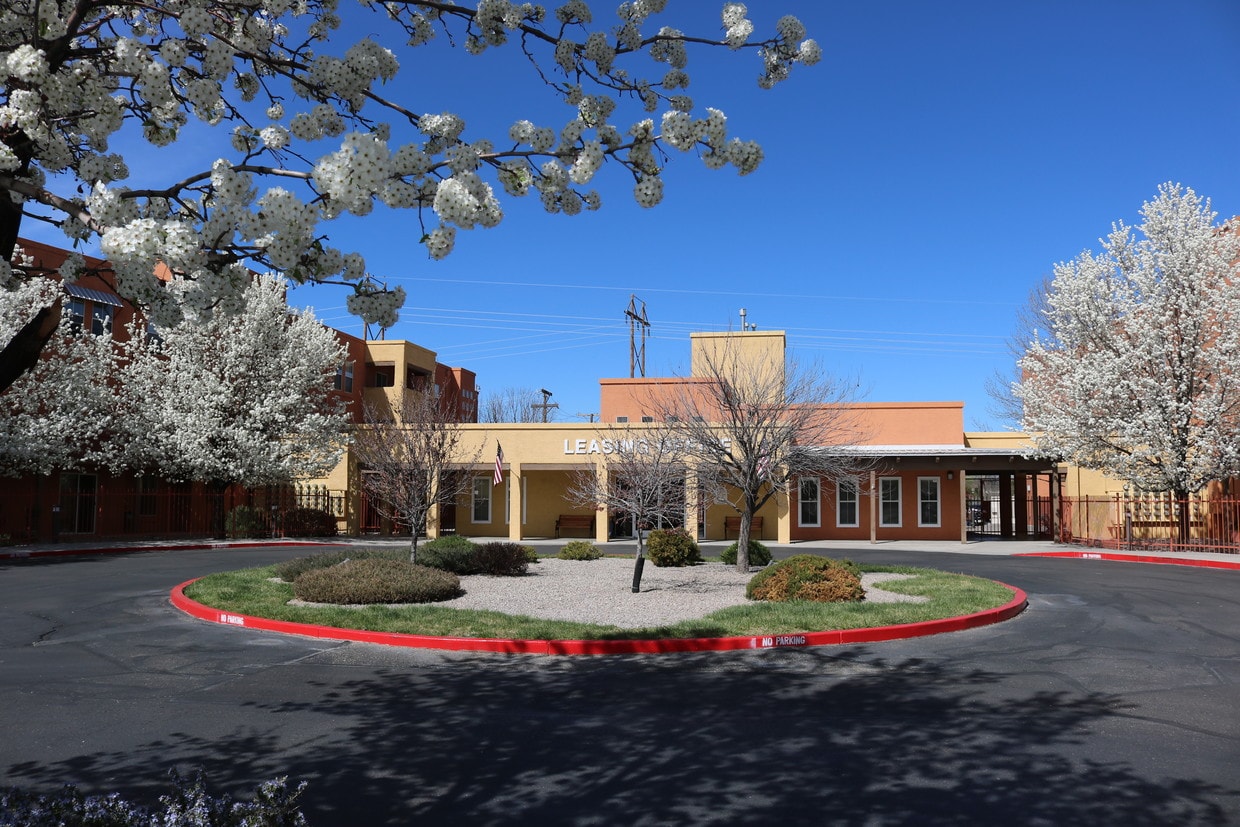 Primary Photo - El Paseo Senior Apartments