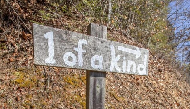 Foto del edificio - One of a Kind – Authentic Log Cabin with S...