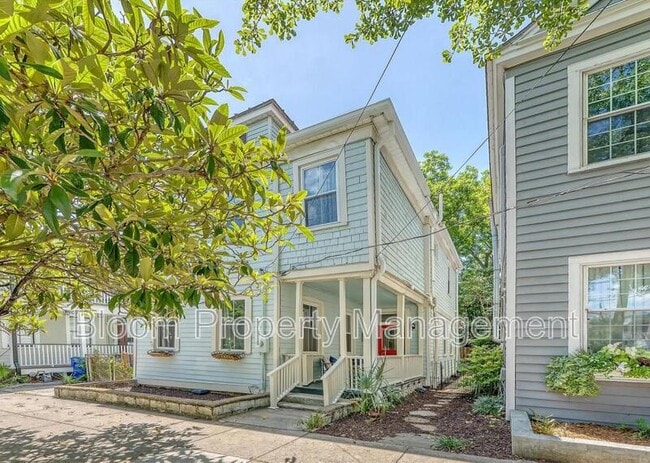 Building Photo - 169 Fishburne St