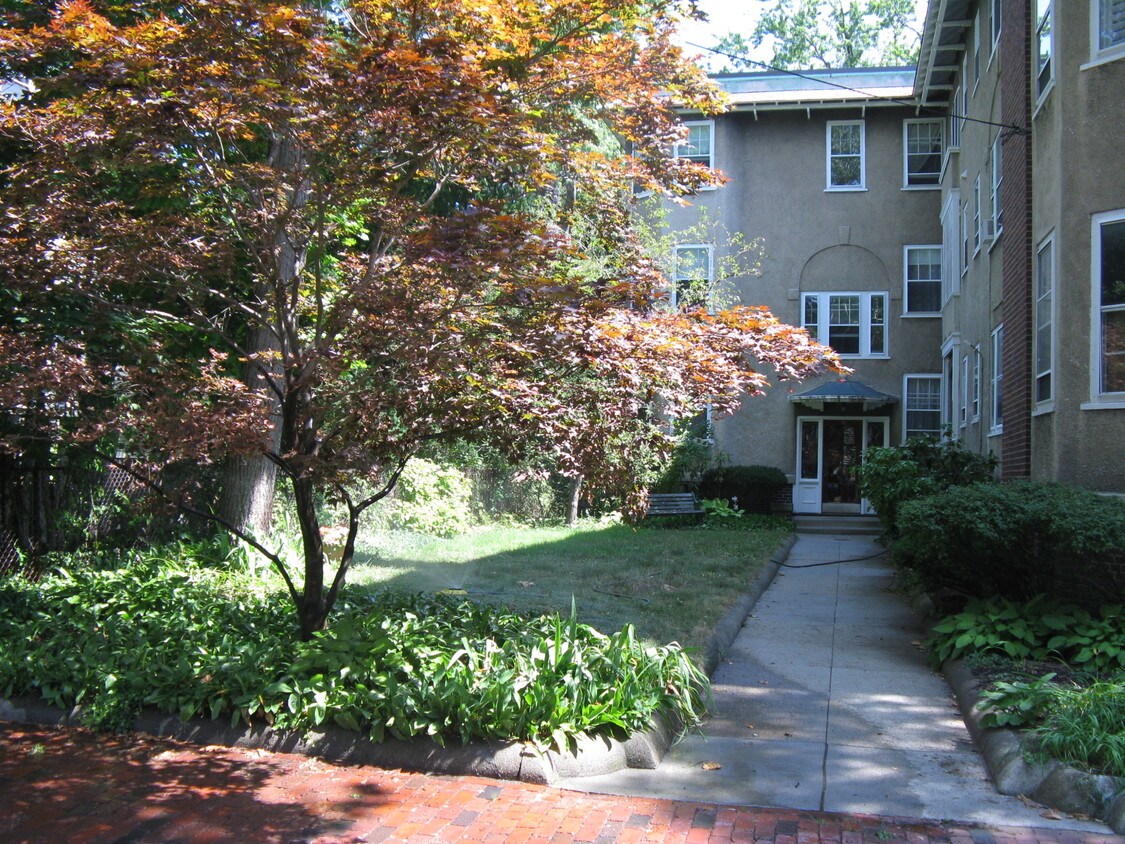 Primary Photo - 10 Avon St