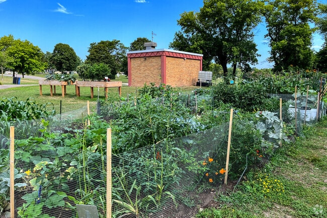 Try your green thumb at the Richfield Community Garden.