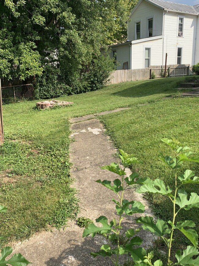 Back yard - 915 E Pearl St