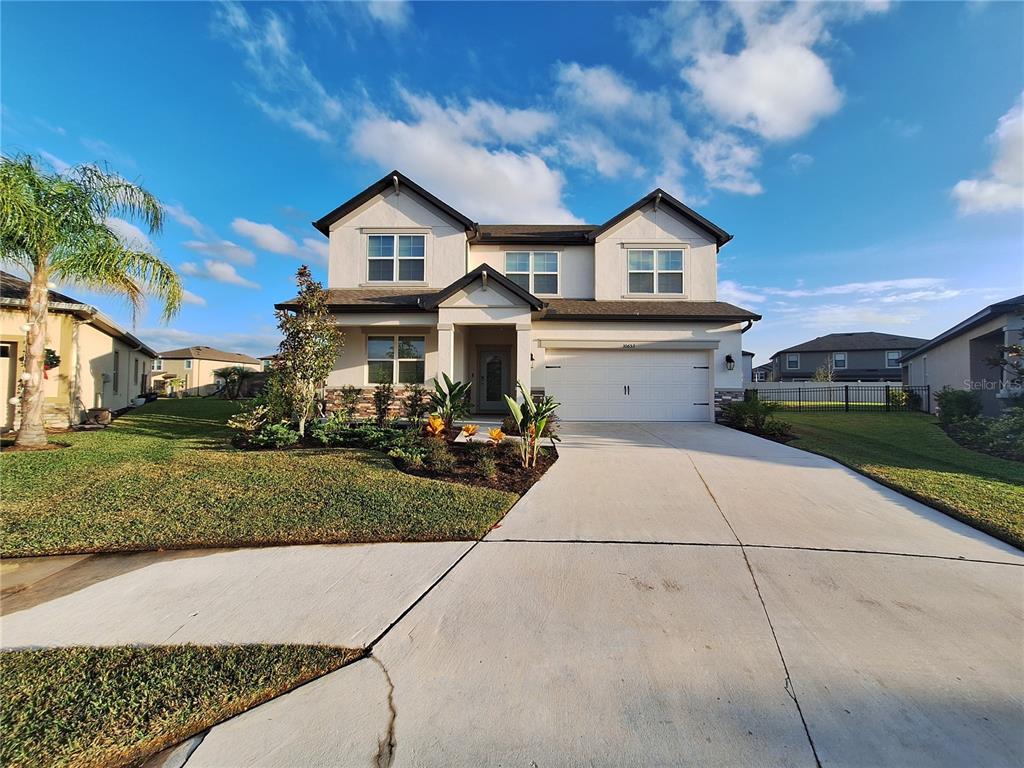 30653 Parrot Reef Ct Wesley Chapel FL 33545 House Rental in Wesley