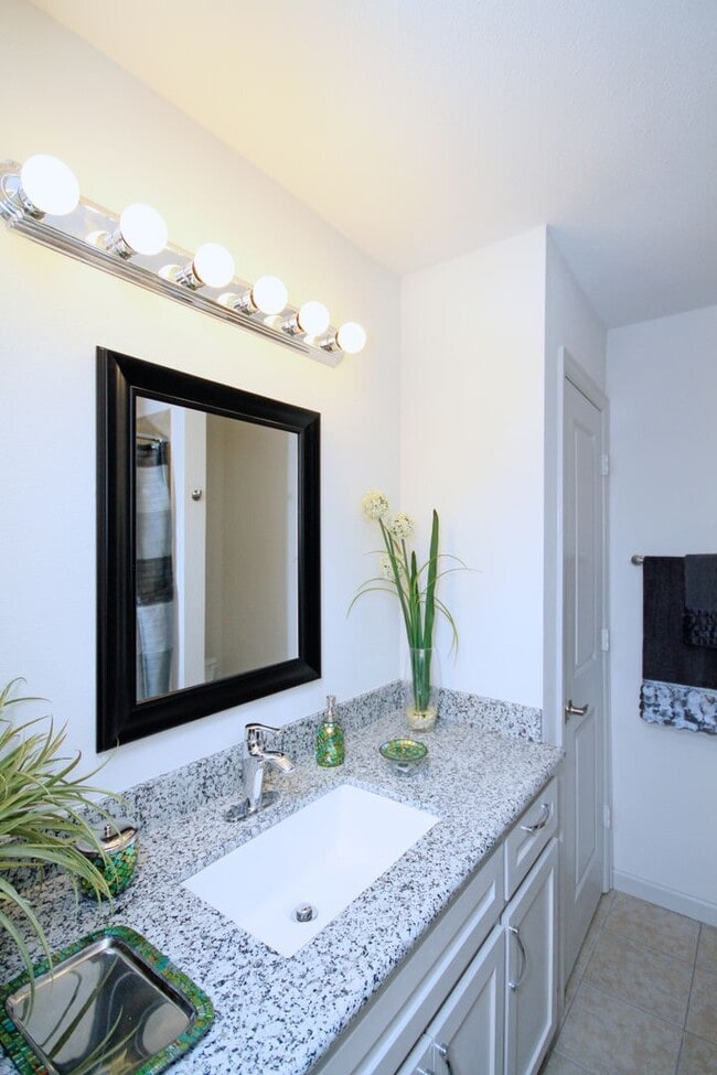 Interior Photo - BlueBird Apartments