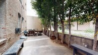 This single-level outdoor courtyard is nestled between multi-story historic brick buildings, creating a sheltered urban retreat with a distinct character. The space is defined by a row of tall, mature trees planted along a low concrete perimeter wall, their canopies forming a natural green canopy that filters light and provides a sense of enclosure and privacy. A chain-link fence runs along the boundary, partially screened by the dense foliage.

The patio surface is composed of large concrete slabs, offering a durable and functional ground plane throughout the courtyard. A wooden picnic table serves as the primary gathering area, positioned near one of the brick building facades, which features a classic arched window detail that speaks to the structure's historic architectural character. Additional decorative elements include rounded stones arranged on the ground and a woven basket planter at the base of the trees, adding textural variety to the space.

Potted plants, including palms and bamboo, are arranged near a gated entry point, contributing additional greenery and a layered landscaping effect. The open-sky exposure allows for ample natural light throughout the day. Overall, the courtyard offers a functional and green outdoor space with an urban-industrial ambiance complemented by natural, living elements.