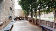 This single-level outdoor courtyard is nestled between multi-story historic brick buildings, creating a sheltered urban retreat with a distinct character. The space is defined by a row of tall, mature trees planted along a low concrete perimeter wall, their canopies forming a natural green canopy that filters light and provides a sense of enclosure and privacy. A chain-link fence runs along the boundary, partially screened by the dense foliage.

The patio surface is composed of large concrete slabs, offering a durable and functional ground plane throughout the courtyard. A wooden picnic table serves as the primary gathering area, positioned near one of the brick building facades, which features a classic arched window detail that speaks to the structure's historic architectural character. Additional decorative elements include rounded stones arranged on the ground and a woven basket planter at the base of the trees, adding textural variety to the space.

Potted plants, including palms and bamboo, are arranged near a gated entry point, contributing additional greenery and a layered landscaping effect. The open-sky exposure allows for ample natural light throughout the day. Overall, the courtyard offers a functional and green outdoor space with an urban-industrial ambiance complemented by natural, living elements.