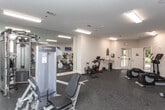 Located on Sheraton Drive in Macon, Georgia, this single-floor fitness center is a well-equipped facility designed to support a comprehensive workout experience. The space features durable rubber flooring throughout, providing a safe and practical surface for a wide variety of exercises.

The cardio area is outfitted with Life Fitness treadmills, elliptical cross-trainers, and spin bikes, giving users multiple options for aerobic training. Multiple wall-mounted flat-screen televisions are positioned throughout the room, allowing members to stay entertained during their workouts.

The strength and functional training area is equally well-appointed, featuring a multi-station cable machine, a rack of dumbbells in varying weights, and a selection of stability and medicine balls neatly stored on a dedicated rack. A freestanding step platform and yoga mat are also available for stretching and low-impact exercises.

Full-length mirrors line one wall of the strength area, visually expanding the space and allowing users to monitor their form during lifts. Fluorescent lighting provides bright, even illumination across the entire facility. A glass-paneled door at the far end of the space offers a view to the outdoors, contributing a sense of openness. The overall layout is clean, organized, and functional, making this fitness center a practical and accessible resource for all fitness levels.