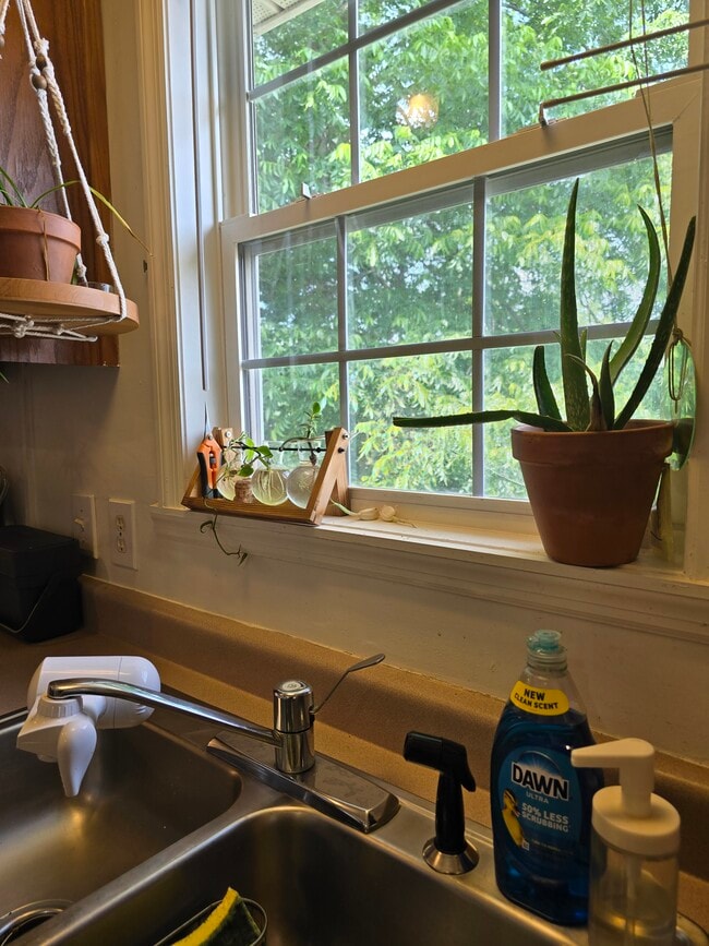 Building Photo - 11 Ora St