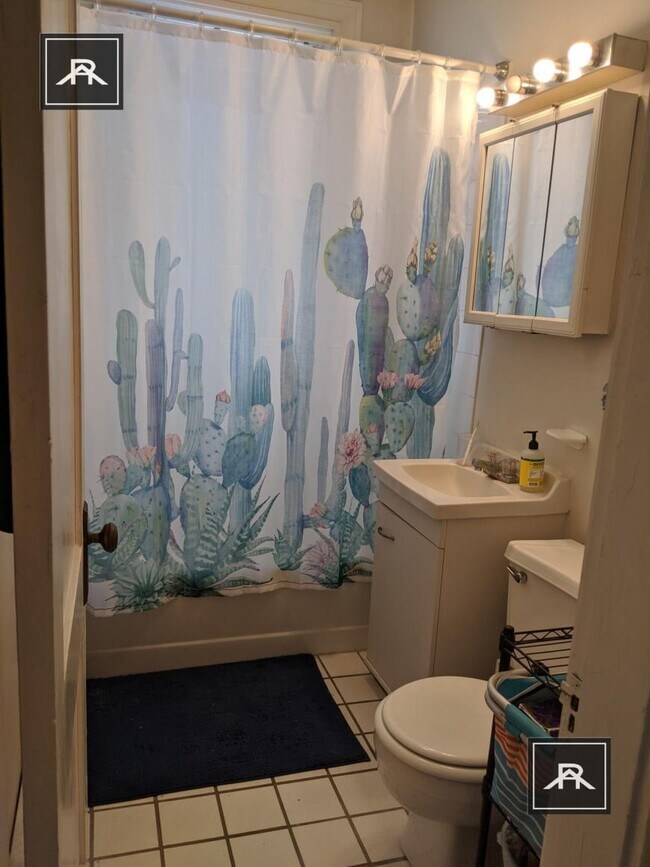 Foto del edificio - 1 bedroom in Brighton MA 02135