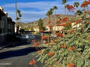 Building Photo - 10410 Cave Creek Rd