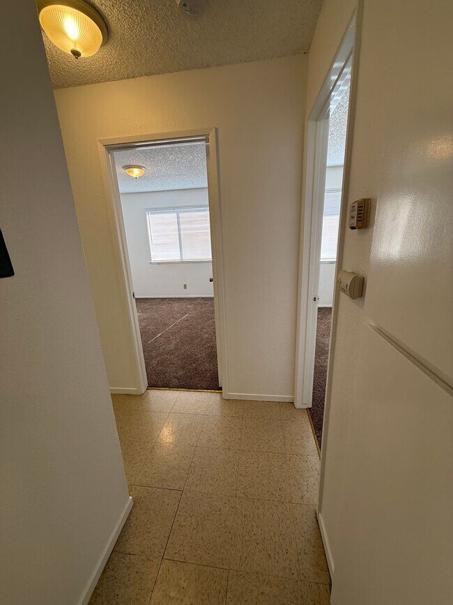 Foto del edificio - 118 W Boone St