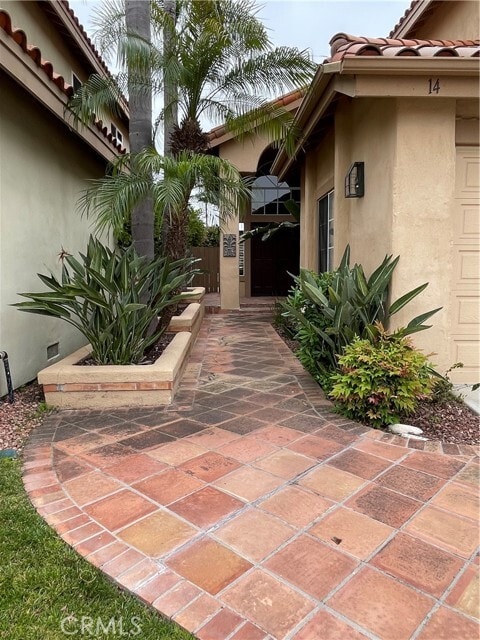 Building Photo - 14 Calella