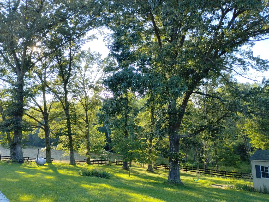 Foto principal - 7582 Plank Rd
