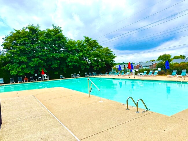 Pool - 47 Meadowood Dr
