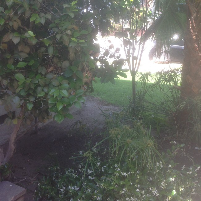 GARDEN - 7654 Hollywood Blvd