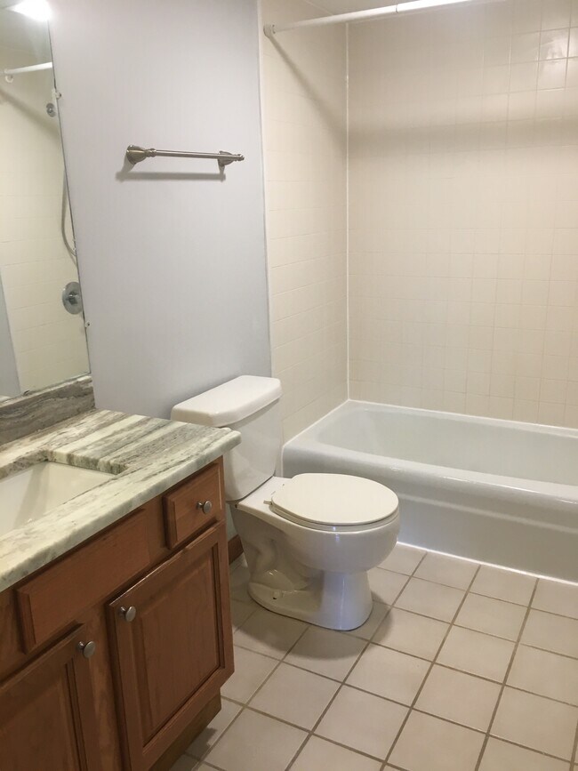 main bath - 1008 Manor Ln