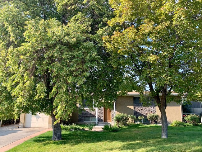 Building Photo - 1215 E Sego Lily Dr