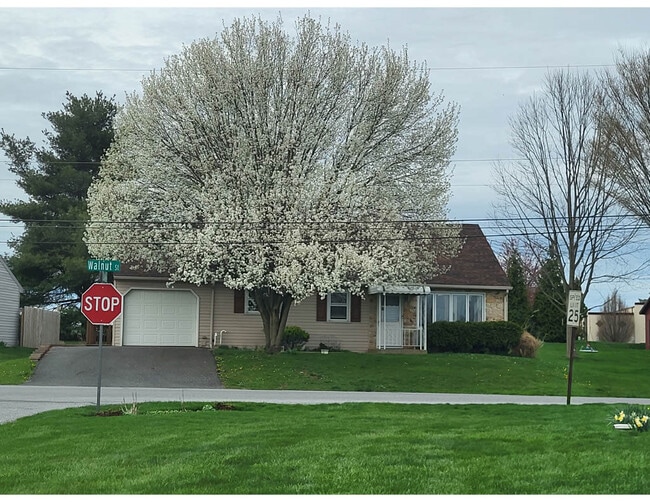 Building Photo - 821 Walnut St