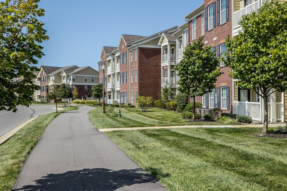 Bella Vista Apartments