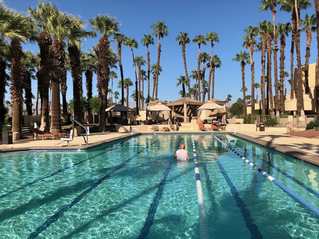 Clubhouse's Olympic Swimming Pool - 38613 Wisteria Dr