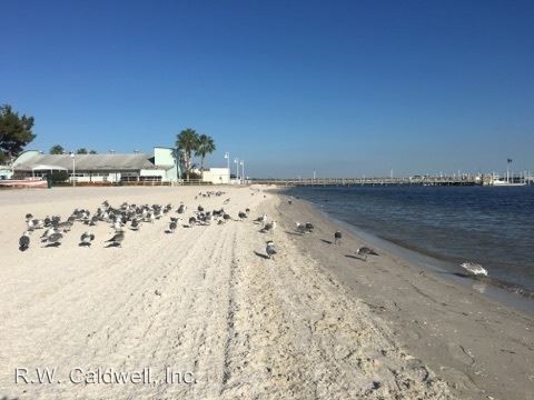 Primary Photo - 3120 Beach Blvd S
