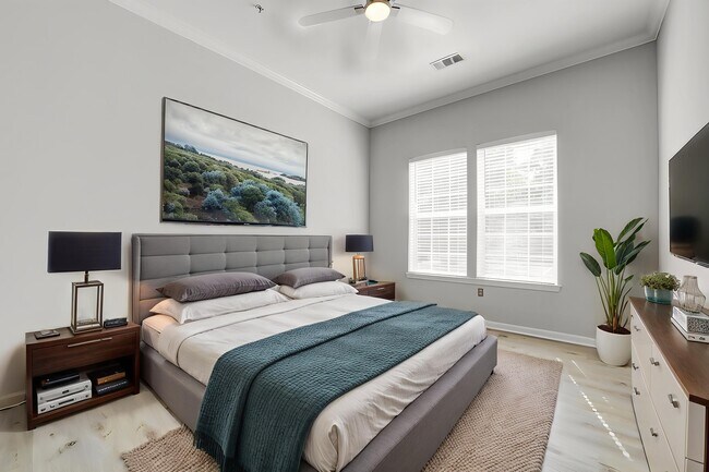 Building Photo - 191 Somervelle St