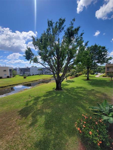 Foto del edificio - 480 Capri G