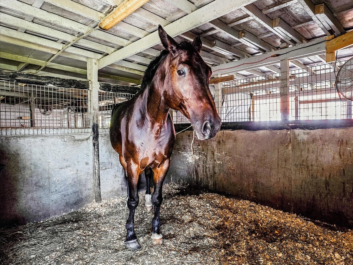 Foto principal - 1350 C Rd