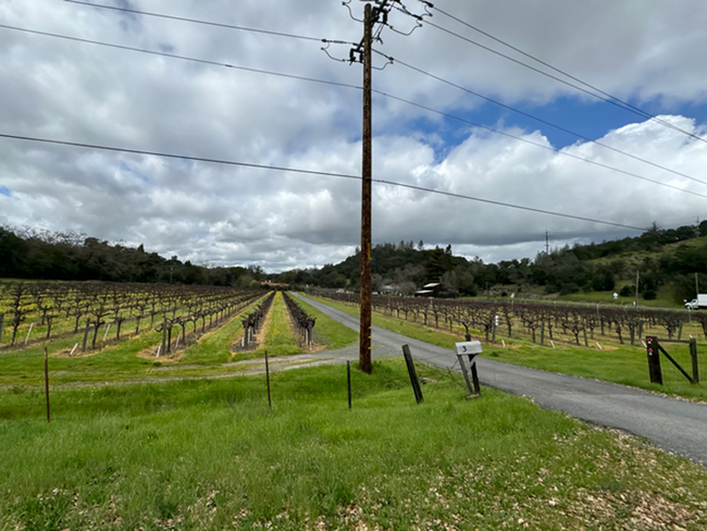 Building Photo - Three Bedroom St. Helena Home with Beautif...