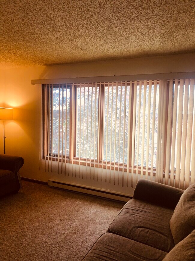 Living room - 60 Bertha St