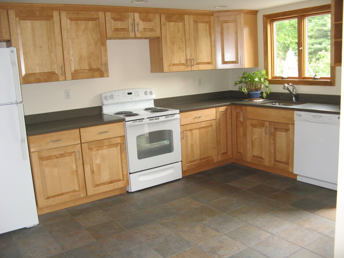 Kitchen has dishwasher and view of patio - 724 Ives Row