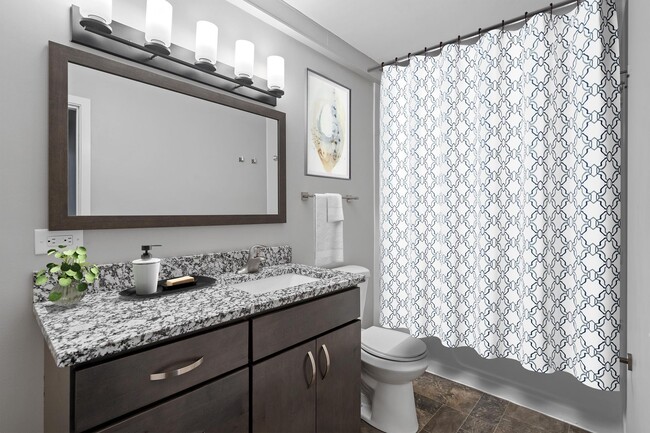 Interior Photo - Lydia Rose Apartments