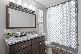 Interior Photo - Lydia Rose Apartments