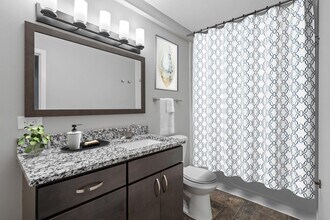 Interior Photo - Lydia Rose Apartments