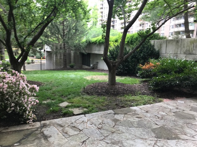 Patio (view from Living Room) - 1800 Old Meadow Rd