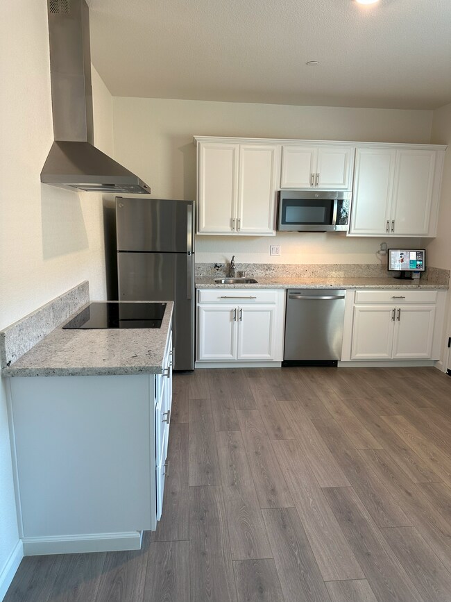 Stainless steel appliances include dishwasher, refrigerator, induction cooktop with vented hood - 9009 Osterville Dr
