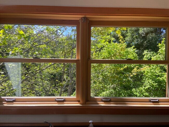 Foto del edificio - Private / executive 3/2 by Sequoia Park