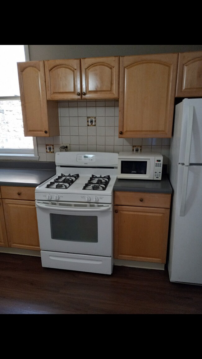 Kitchen - 1907 W Cortland St