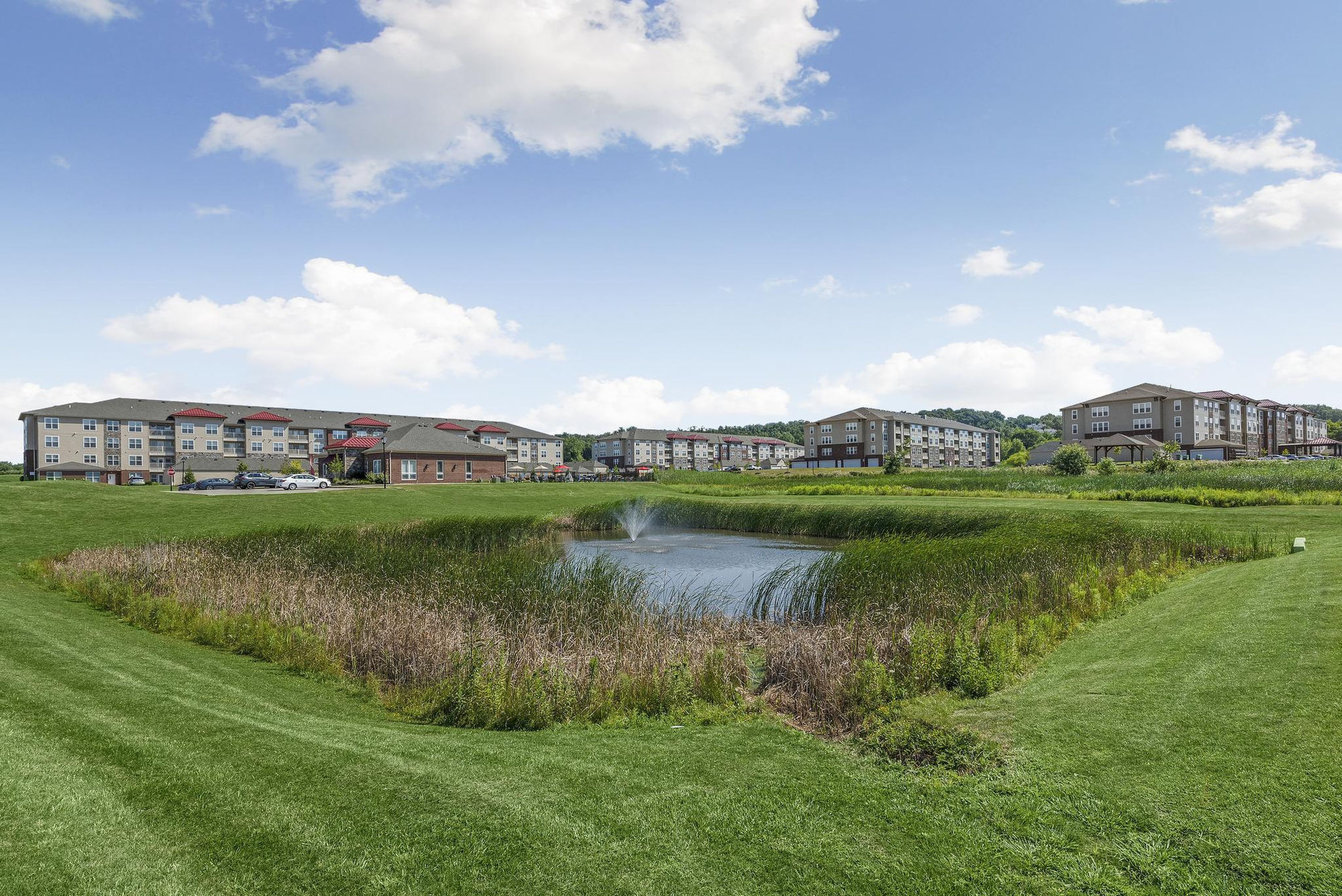 Traditions at Royalton Place - Seniors 55+ – photo 4
