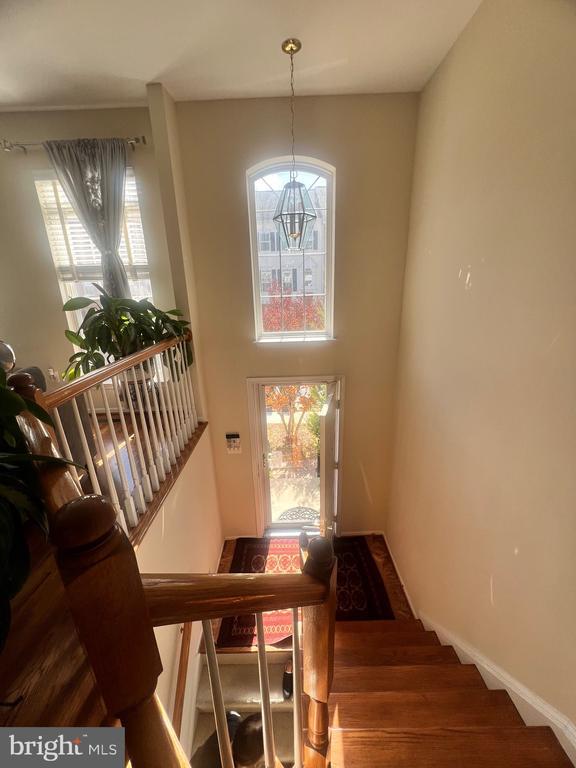 Foto del edificio - 7317 Hampton Manor Pl