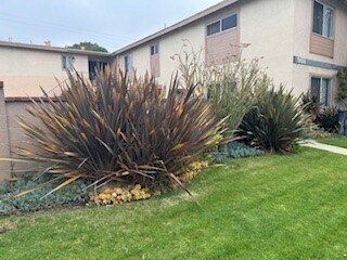 Foto principal - 988 Valencia St