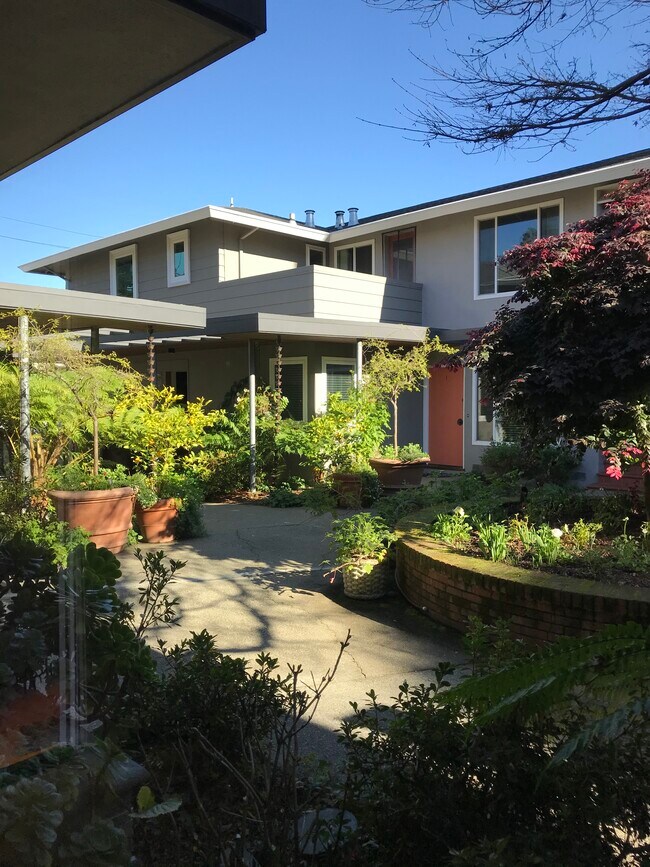 Courtyard - 111 Elm St