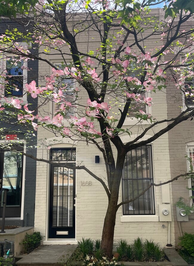 Foto del edificio - 1658 Kalorama Rd NW