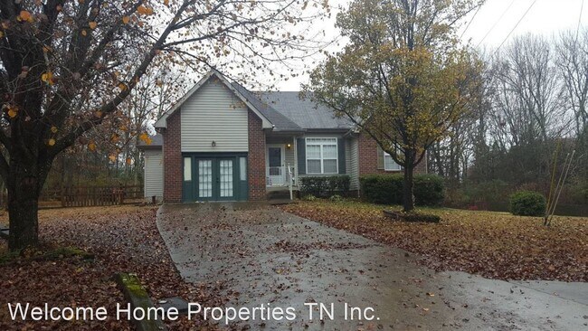 Building Photo - 3 br, 2 bath House - 216 Marlin Court
