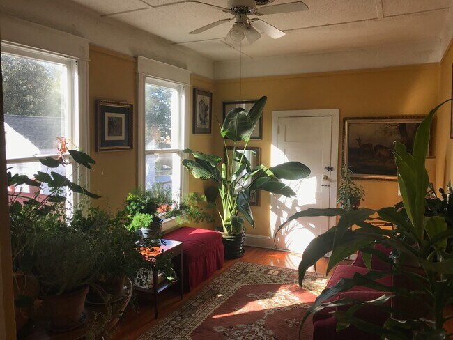 Atrás - 114 S 5th Ave