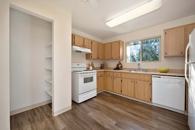 Kitchen - Ashford Heights Apartments