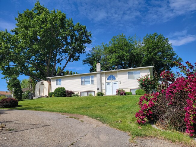 View from Antrim Drive - 20683 Antrim Dr