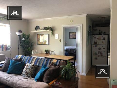Building Photo - 1 bedroom in Brighton MA 02134